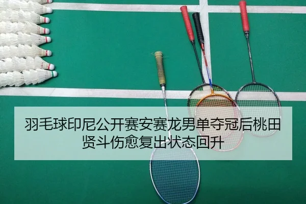 yu-mao-qiu-yin-ni-gong-kai-sai-an-sai-long-nan-dan-duo-guan-hou-tao-tian-xian-dou-shang-yu-fu-chu-zhuang-tai-hui-sheng-2-372.jpg